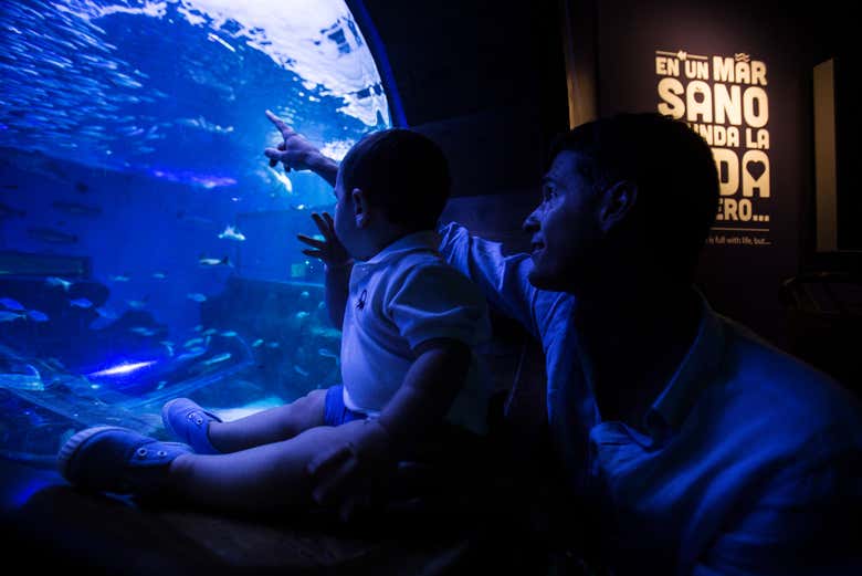 Visitando en familia el Acuario de Sevilla