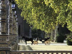 Coche de caballos en el Parque de María Luisa